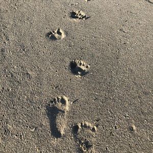 Meet your Posher, Natalia